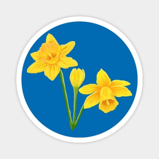 Spring Daffodils Magnet